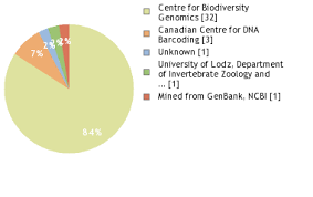 Attēlu rezultāti vaicājumam “Dichelia histrionana”
