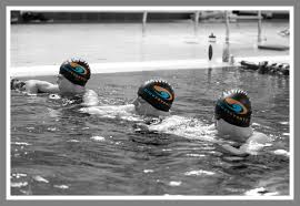 Image result for Derventio Excel Swimming Club