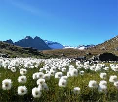 Piz Fora