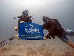 Image result for Seabug Divers