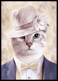 Image result for cat man