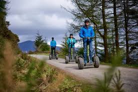 Image result for Go Ape! Whinlatter