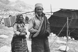 Image result for Nomads