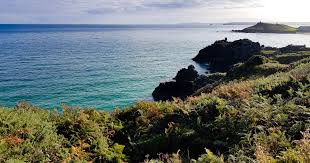 Image result for Swimming Skills Cornwall | St Ives