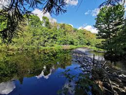 Image result for Livingston Letham Bowling Club