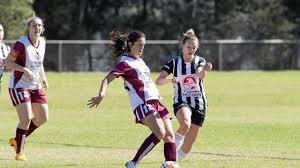 Image result for Warwick Wolves