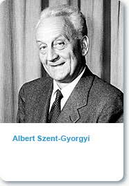 albert szent-gyorgyi