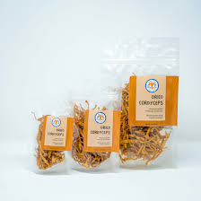 Attēlu rezultāti vaicājumam “Cordyceps”