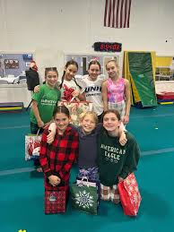 Image result for Ipswich Gymnastics