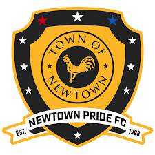 Image result for Newdigate F C