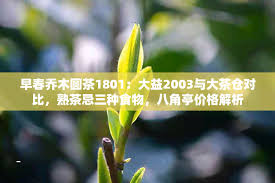 Image result for 2003早春