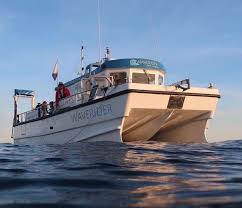 Image result for Hartlepool Divers Bsac Branch 0985