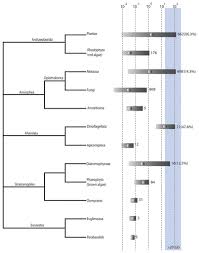Image result for genome sizes