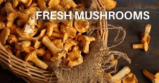 Attēlu rezultāti vaicājumam “Cratarellus cornucopioides”