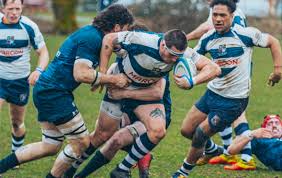 Image result for Windermere Rugby Club