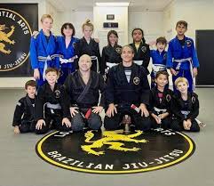 Image result for America's Best Karate Chandler