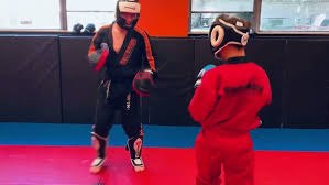Image result for Synergy Tae Kwon Do