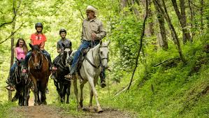 Image result for Palmers Riding Stables