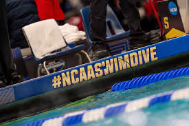 Image result for Tornado Divers