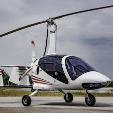 Image result for gepetto tehron