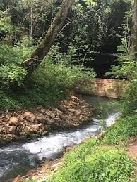 Image result for Green End Hotel Bowling Club