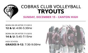 Image result for Cheltenham Cobras Volleyball Club