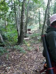 Image result for Long Eaton Field Archery Club