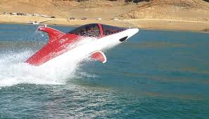 Image result for Dolphin Sub Aqua