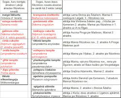 Attēlu rezultāti vaicājumam “Diderma rufostriatum spores”
