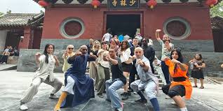 Image result for Shaolin Ancestors kung Fu School