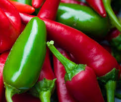 Afbeeldingsresultaat voor jalapeno early hot pepper