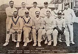 Image result for Southern Railway & Kenley Cricket Club
