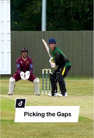 Image result for Biggleswade Town Cricket Club