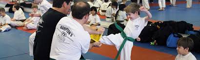 Image result for Hetton and Murton Karate Academy