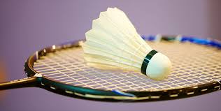 Image result for Cranford Sports Jnr (Devon) Badminton Club