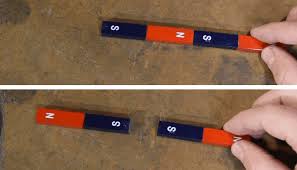 Image result for Pole Magnets