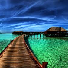 Image result for image