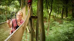 Image result for The Go Ape Experience (Swinley Forest)
