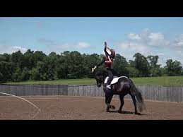 Image result for Windrush Vaulting Group