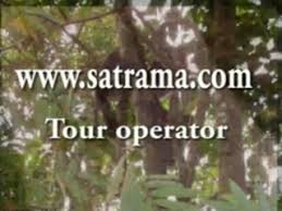 Saha Travel Madagascar