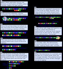 Image result for Sfântul https://ro.wikipedia.org/wiki/Irineu de Lyon