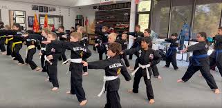 Image result for Kuk Sool Won Of Botesdale