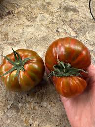 Afbeeldingsresultaat voor dark purple beefsteak tomato