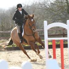 Image result for Chepstow Harriers