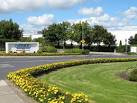 Contact lens factory, Limerick - via Daymix