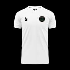 Image result for Rogerstone Rangers Junior Football Club