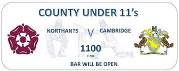 Image result for Wellingborough Town Cc