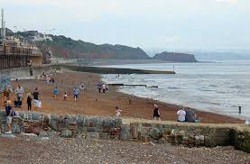 Image result for Dawlish Sc