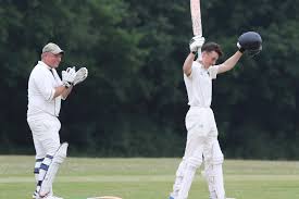 Image result for Capel Cricket Club