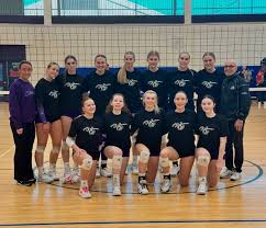 Image result for Cheltenham Cobras Volleyball Club